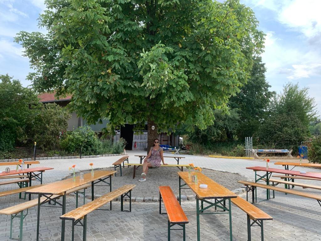 Reitschule Kronwitter Mainbernheim Kültér fotó