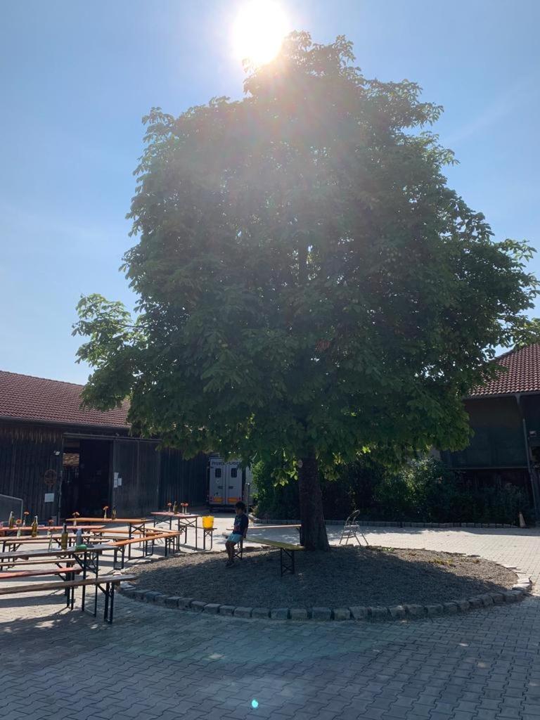 Reitschule Kronwitter Mainbernheim Kültér fotó
